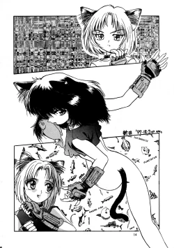 Page 14 of CAZA MAYOR 2