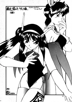 Page 16 of CAZA MAYOR 2