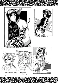 Page 7 of CAZA MAYOR 2