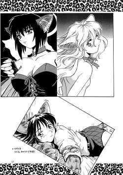 Page 17 of CAZA MAYOR 3