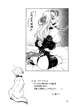 Page 20 of CAZA MAYOR 3