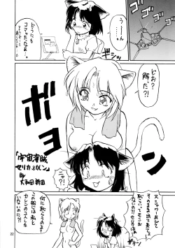 Page 22 of CAZA MAYOR 3