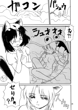 Page 25 of CAZA MAYOR 3