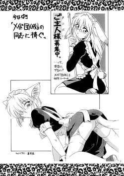 Page 7 of CAZA MAYOR 3