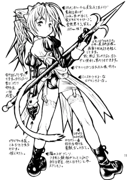 Page 11 of CAZA MAYOR