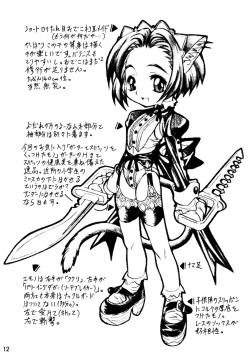 Page 12 of CAZA MAYOR