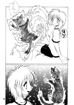 Page 28 of CAZA MAYOR