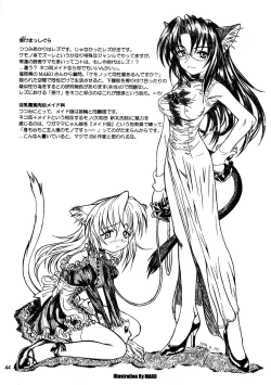 Page 44 of CAZA MAYOR