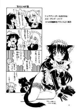 Page 6 of CAZA MAYOR