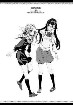 Page 5 of pictulia + 4P Leaflet