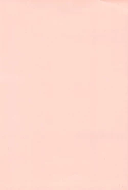 Page 4 of SHOUTING STAR