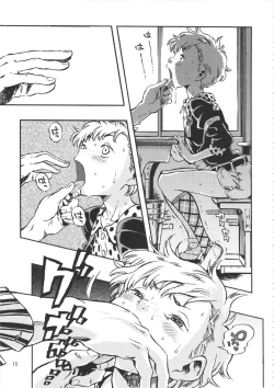 Page 14 of Minori Kenkyuujo Soushuuhen 2012~2015