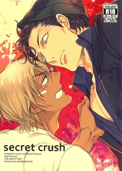 Page 1 of secret crush