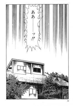 Page 38 of Mesu Kari Vol.4