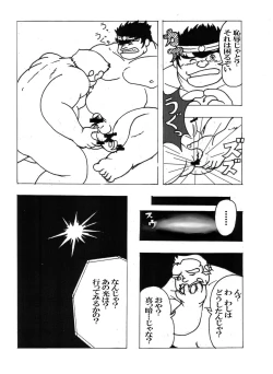 Page 5 of Iwamoto