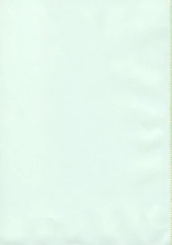 Page 4 of Princess Special