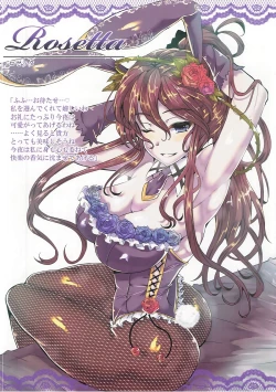 Page 7 of Fata Grande Bunny Club