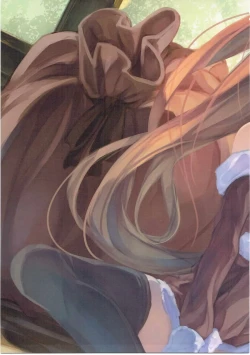 Page 14 of Homu library