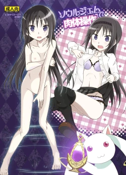 Page 1 of Soul Gem de Nikutai Sousa