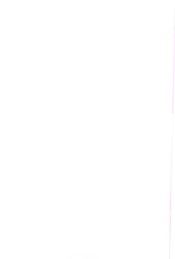 Page 4 of Ochinchin Daishingeki - Remilia no Gyakushuu