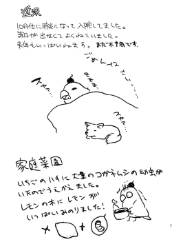 Page 20 of Hinkon Lolita file.2