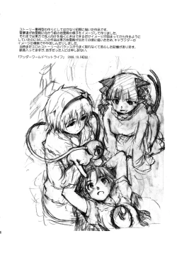 Page 46 of Touhou Ukiyo Emaki Sairokushuu 2
