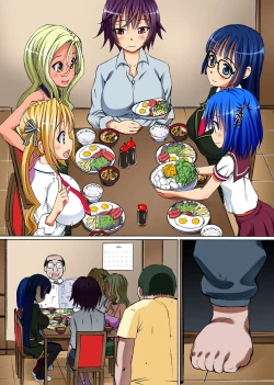 Page 29 of Kakun dakara Shikatanai! ~ Shimai-tachi o Kakun de Fukujuu Sasete Hametaosu! | It's The House Rules, So It Can't Be Helped!