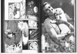 Page 13 of Comic Maso 6