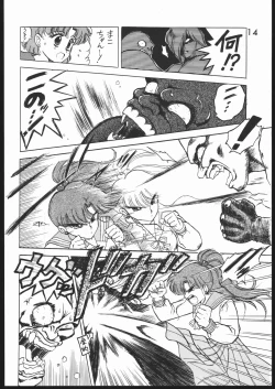 Page 13 of SUBMISSION JUPITER PLUS