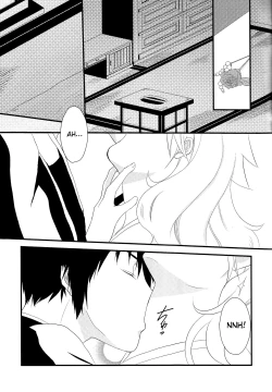 Page 17 of Dimorphotheca