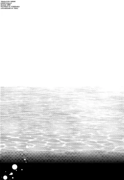 Page 4 of Dimorphotheca