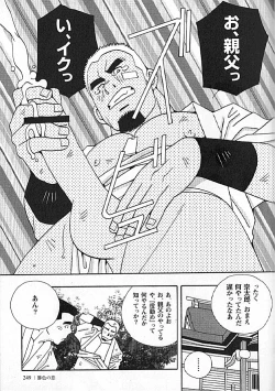 Page 248 of Kachiiro no Koi