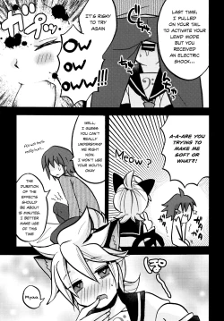 Page 11 of Matamata Cat