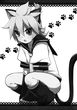 Page 21 of Matamata Cat