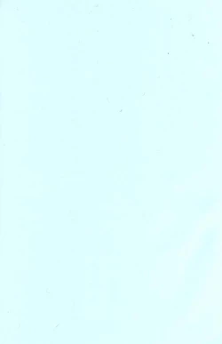 Page 6 of Flamingo R Vol.04