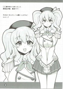 Page 2 of Rental Kashima