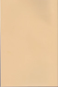 Page 2 of CROSSING LOVE