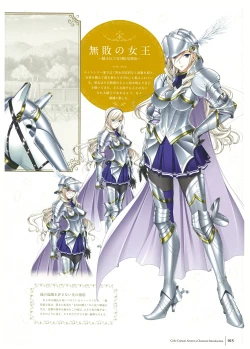 Page 17 of Walkure Romanze Visual Fan Book