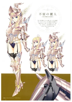 Page 14 of Walkure Romanze More & More Visual Fan Book