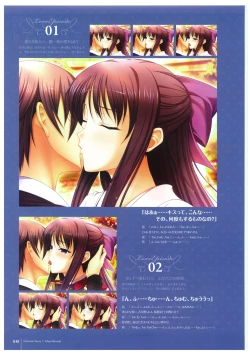 Page 40 of Walkure Romanze More & More Visual Fan Book