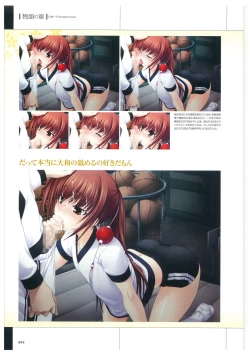 Page 97 of Maji de Watashi ni Koi Shinasai Visual Fan Book