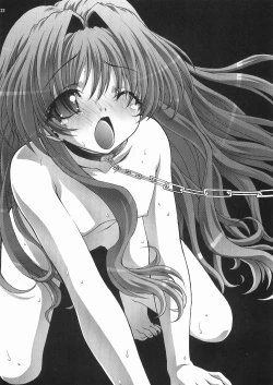 Page 22 of Inzetsu Naru Negai