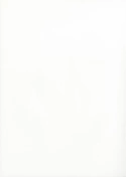 Page 11 of Order Made Pillow