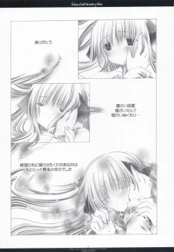 Page 24 of Country of light and garden of flower