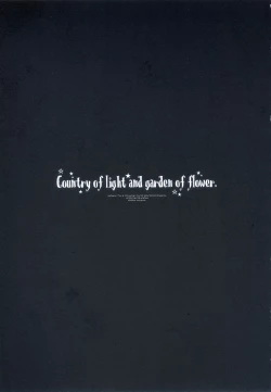 Page 2 of Country of light and garden of flower