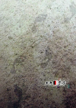 Page 26 of Hadashi no ashioto