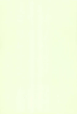 Page 3 of Digital Syndrome