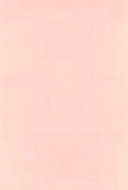 Page 4 of Mitsuba Chinphomaniacs