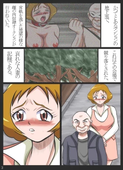 Page 3 of 肛虐マゾ熟女・浣落噴射汚辱 被虐熟女 桃○あゆみ
