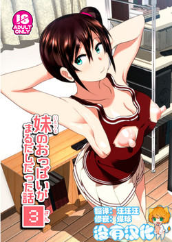 Download Imouto no Oppai ga Marudashi Datta Hanashi 3
